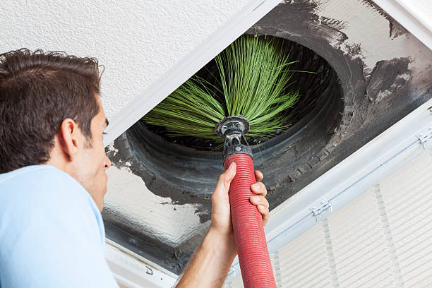 Best HVAC System Cleaning  in Harvey, ND